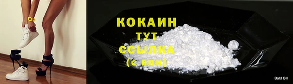 гидра Арсеньев