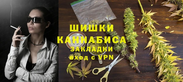 гидра Арсеньев
